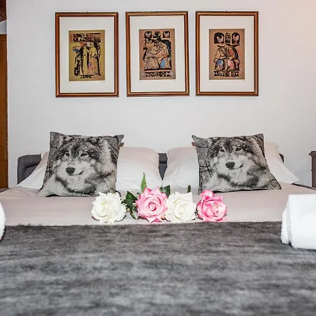 Appartement Maison Bellevue *